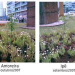 Jardinagem Libertária